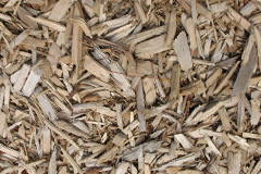 biomass boilers Pilning
